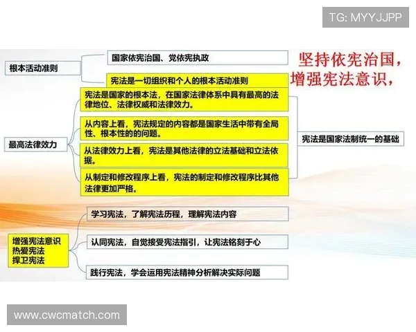 初学者如何轻松理解足球比赛规则与精彩瞬间分析技巧